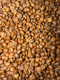 Margarita - Light Roast 12oz