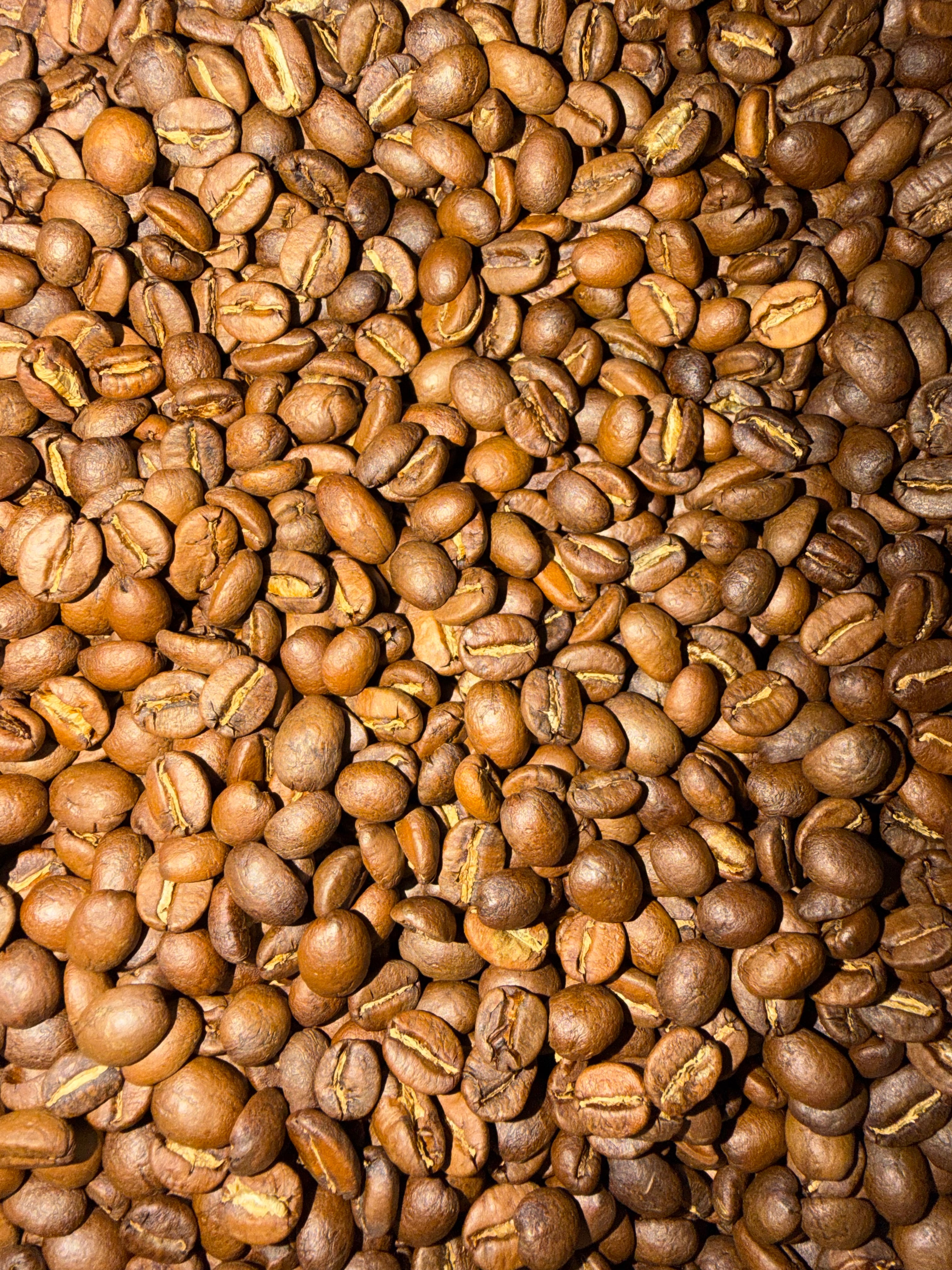 Margarita - Light Roast 4oz